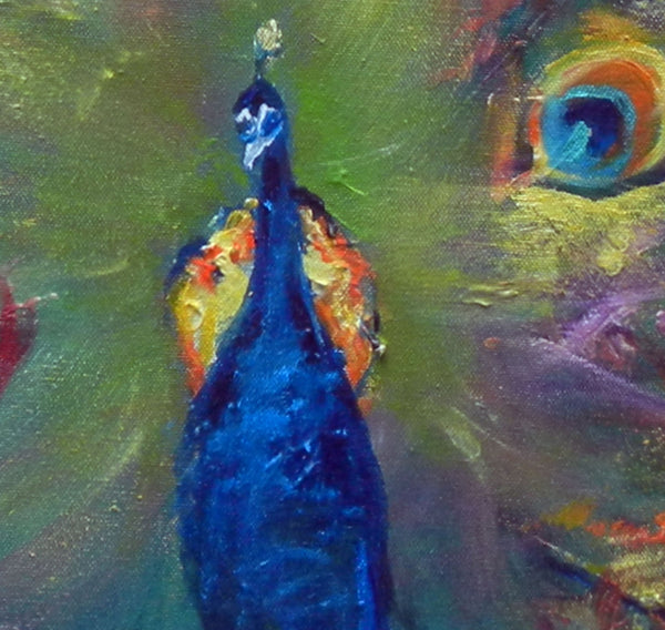 Peacock 36x24